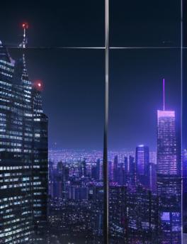 《金融天堂的迷雾》